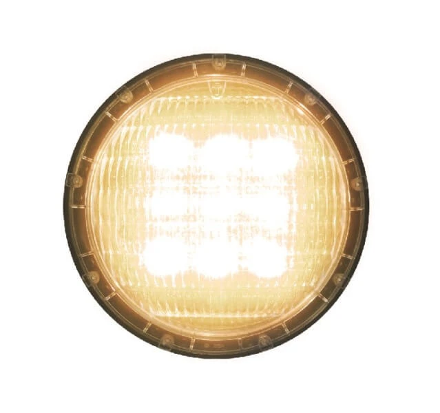 Żarówki Led Diamond Plus Do Lamp Basenowych Biel/Rgb 4