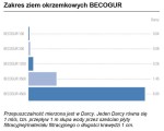 Ziemia Okrzemkowa Becogur 6