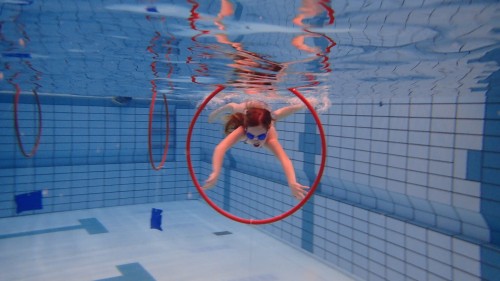 Tunel Podwodny Do Basenu 2