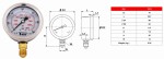 Manometry Do Filtrów Basenowych Poziome Pionowe 6