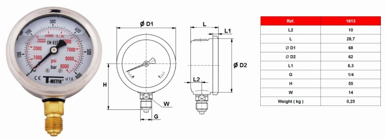 Manometry Do Filtrów Basenowych Poziome Pionowe 6