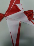 Lina Nawrotowa Basenowa Czerwone Bez Logo OUTLET 7