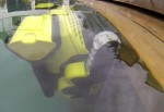 Odkurzacz Do Stawów Kąpielowych Dolphin M5 Bio 13