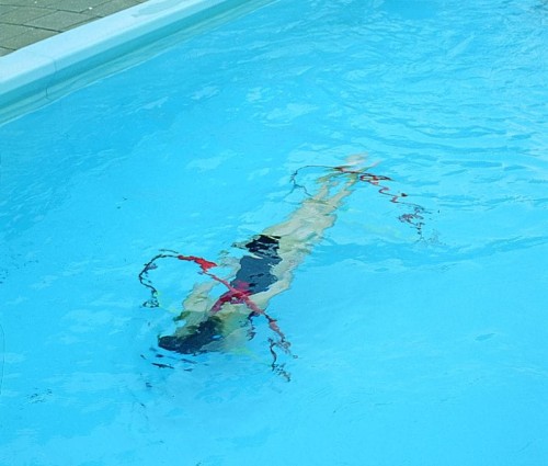 Tunel Podwodny Do Basenu Jedna Półobręcz 1