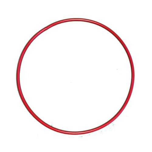 Pływająca Obręcz Na Basen Delphin Hula Hop 75cm 3