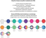 Sterowanie Lampami Basenowymi - Modulatory I Piloty 5