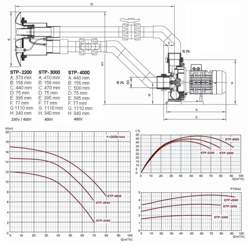 Przeciwprąd Basenowy STP 55-80m3/h 2