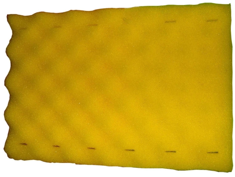 Szczotka Piankowa Do Odkurzacza Aquacat 3000 4000 Viking 2