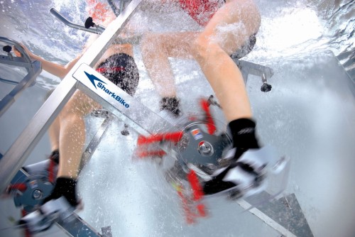 Rower Basenowy Sharkbike Vario Beco 7