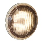Żarówki Led Diamond Plus Do Lamp Basenowych Biel/Rgb 6