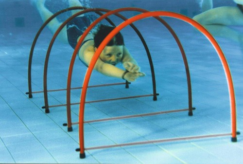 Tunel Podwodny Do Basenu Z Półobręczy 5