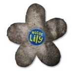 Water Lily Kwiatek Czyszczący Do Basenu 1