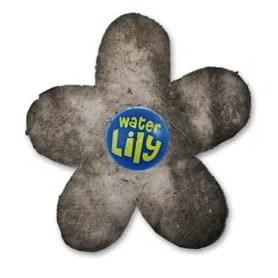 Water Lily Kwiatek Czyszczący Do Basenu 1