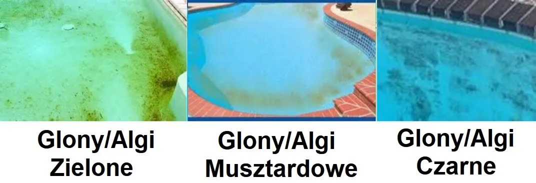 pokrywa solarna do basenu geobubble rodzaje glonów